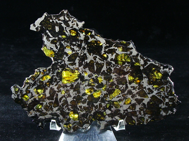 Admire Pallasite Meteorite Collection