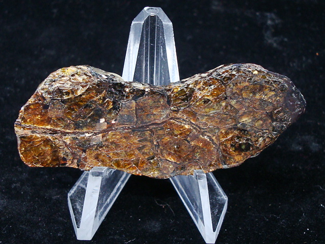 La'gad 002 Pallasite Meteorite - 10.7 gms