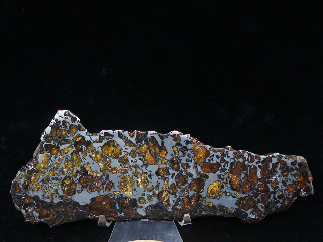 Albin Pallasite Meteorite Slice - 335.1 gms