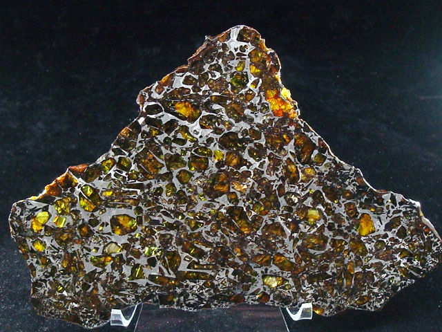 Albin Pallasite Meteorite Slice 295.8 gms