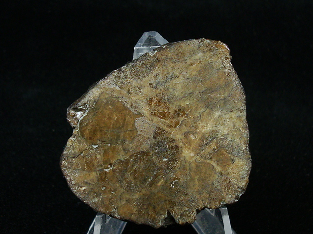 Bilanga Meteorite Slice - 37.6 grams