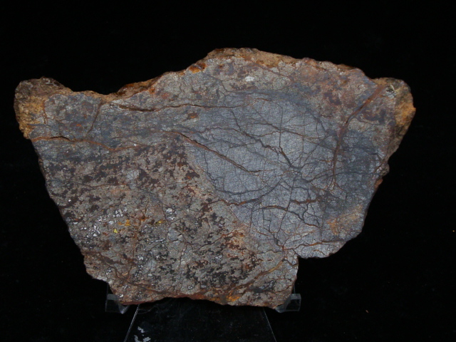 Bondoc Meteorite Slice- 153.1 grams