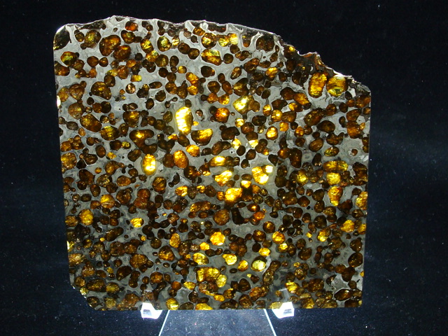 Brahin Pallasite Meteorite Slice - 296.6 gms