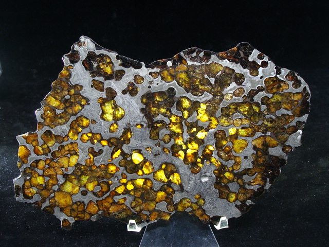 Brenham Pallasite Meteorite Full Slice - 374.7 grams