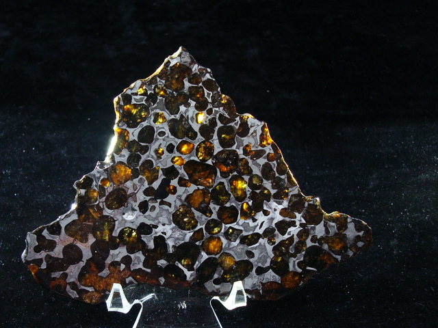 Conception Junction Pallasite Meteorite Slice - 62.9 grams