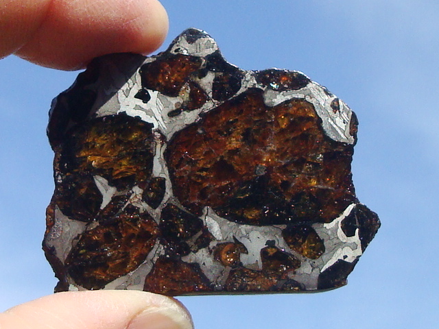 Dora Pallasite Meteorite Slice -