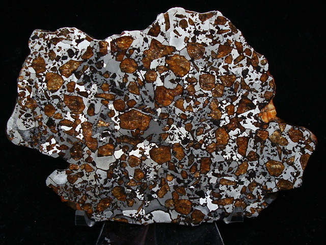 Hassi el Biod 002 Pallasite Meteorite Slice - 148.5 gms
