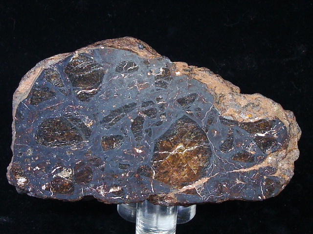 Huckitta Pallasite Meteorite - 468.4 gms