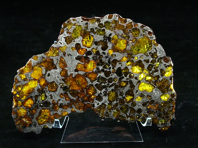 Imilac Pallasite Meteorite Slice - 220.4 grams