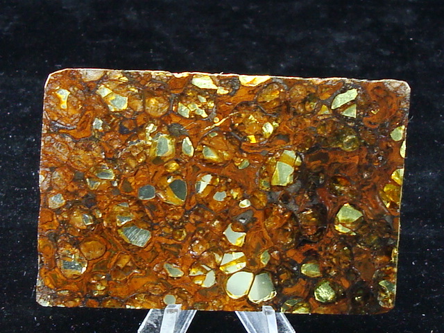 Jepara Pallasite Meteorite Slice - 16.4 grams