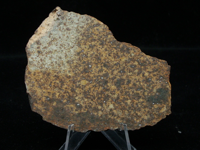 NWA 12,842 Meteorite Slice - 63.2 gms