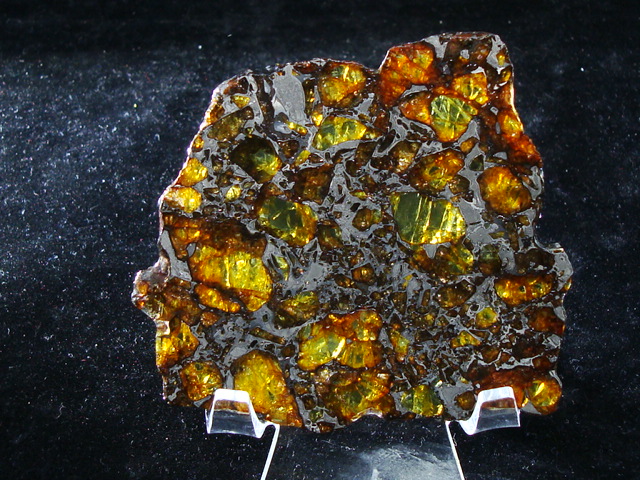 NWA 14,492 Pallasite Meteorite Slice - 40.7 gms