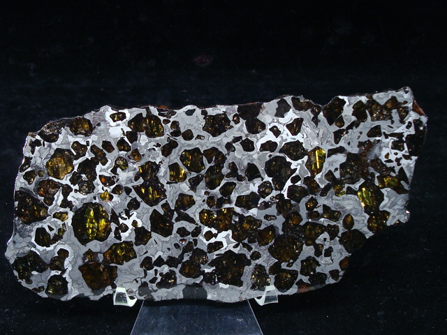 NWA 2957 Pallasite Meteorite - 218.8 grams