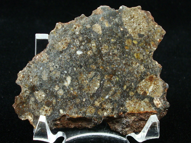 NWA 8386 Meteorite Slice - 33.3 grams
