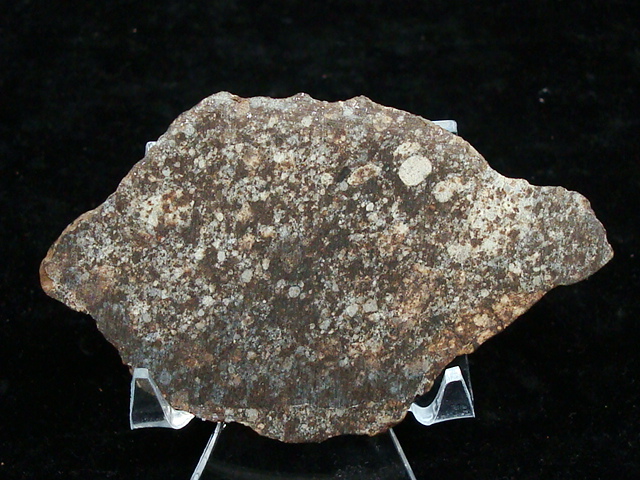 NWA 869 Meteorite Slice - 34.4 gms