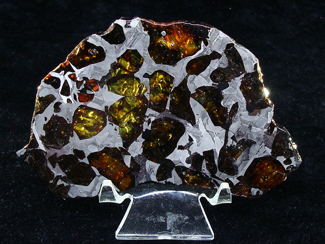 NWA 15428 Pallasite Meteorite Slice - 45.2 gms