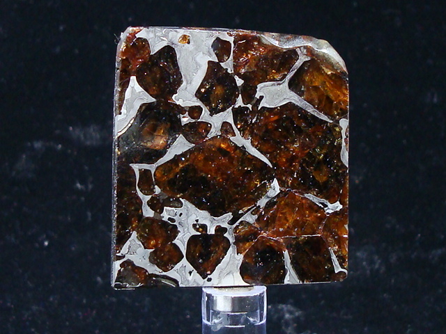 Pallasovoka Pallasite Meteorite Slice -