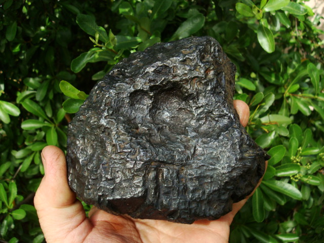 Muonionalusta Meteorite After Stabilization