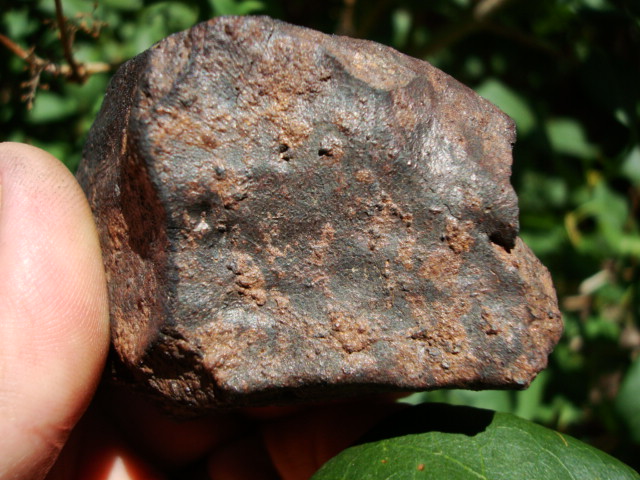 361 gram SaU Meteorite