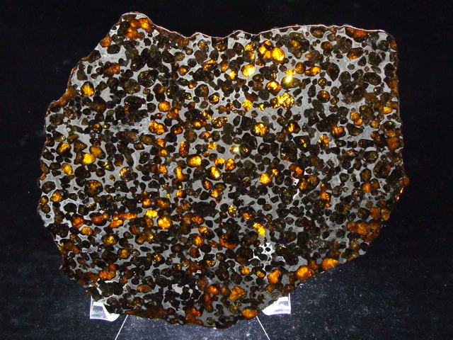 Sericho Pallasite Meteorite Slice - 400.2 gms
