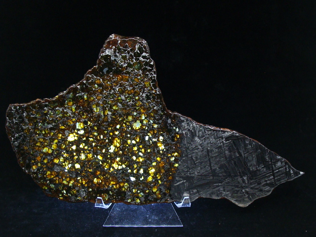 Seymchan Pallasite Meteorite Slice - 674.3 gms