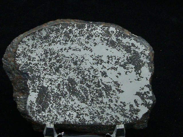 Silicated Campo del Cielo Meteorite - 131.6 gms