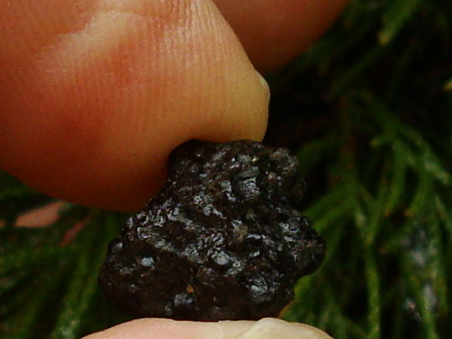 Tissint Meteorite - 2.18 grams