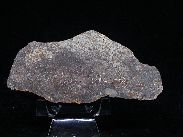 Warm Springs Wildreness Meteorite End Cut - 218.6 gm