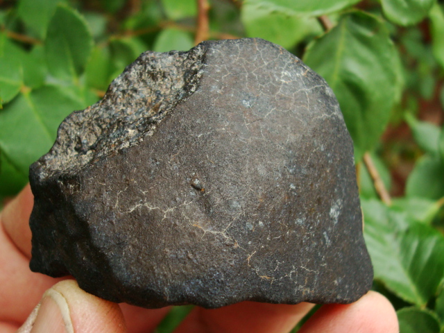 119.4 gram West Meteorite!