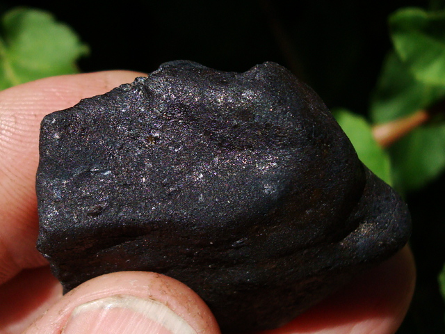 47.5 gram West Meteorite!