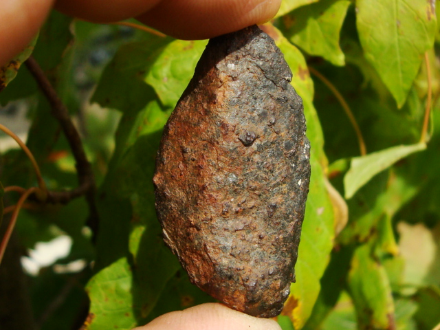 Wickenberg Meteorite - 30.6 gms